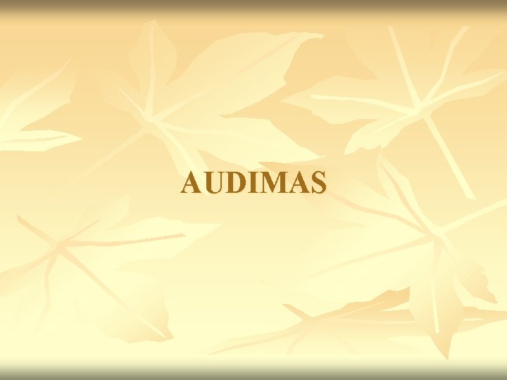 AUDIMAS AUDIMAS