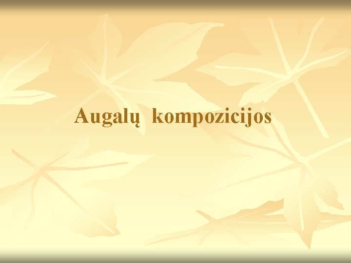 Augalų kompozicijos Augalų kompozicijos
