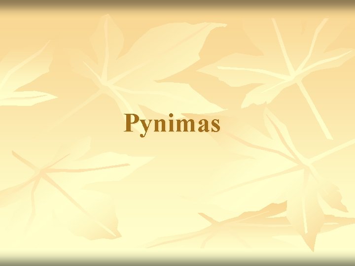 Pynimas 