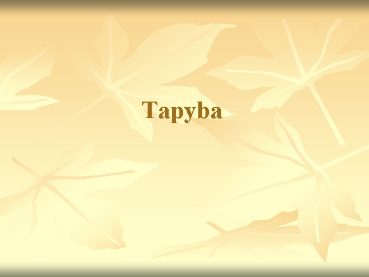 Tapyba 