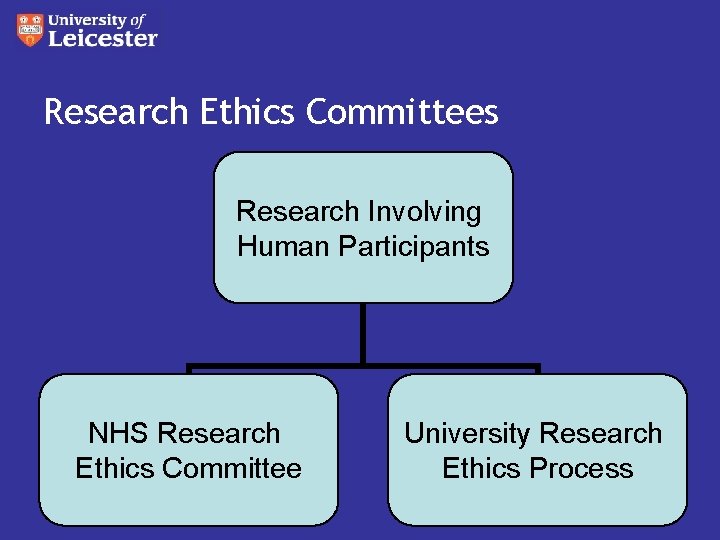 Research Ethics Committees Research Involving Human Participants NHS Research Ethics Committee University Research Ethics