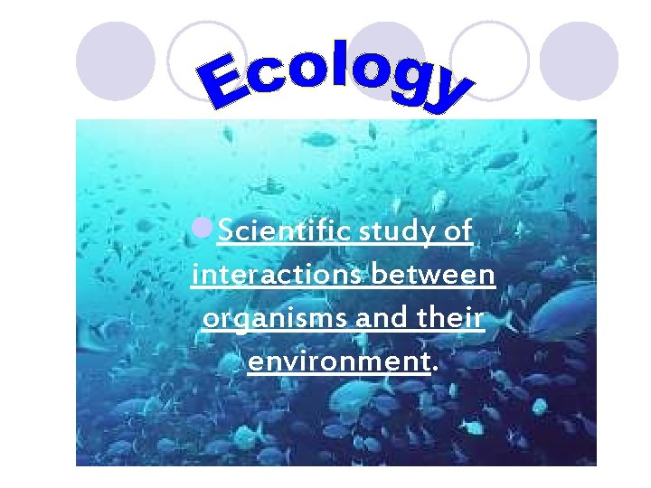 l. Scientific study of interactions between organisms and their environment. 