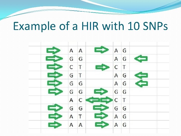 Example of a HIR with 10 SNPs Example of a HIR with 10 SNPs