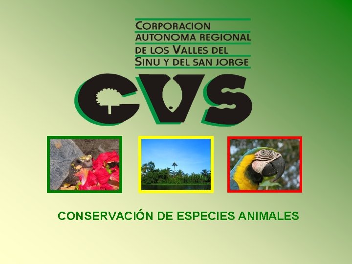 CONSERVACIÓN DE ESPECIES ANIMALES 