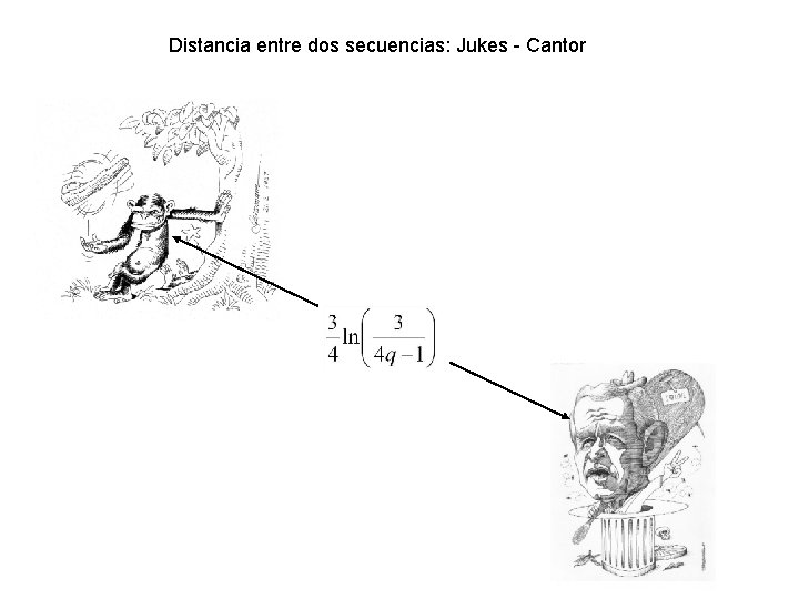 Distancia entre dos secuencias: Jukes - Cantor 