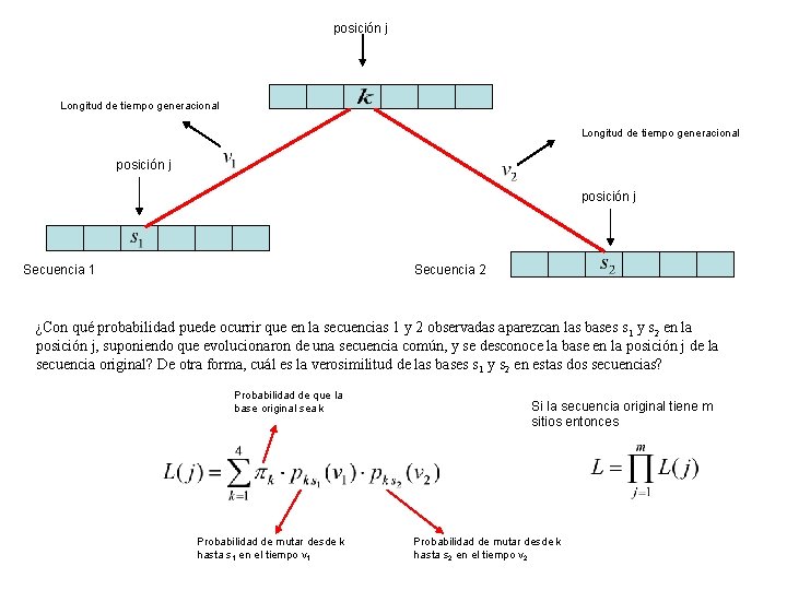 posición j Longitud de tiempo generacional posición j Secuencia 1 Secuencia 2 ¿Con qué