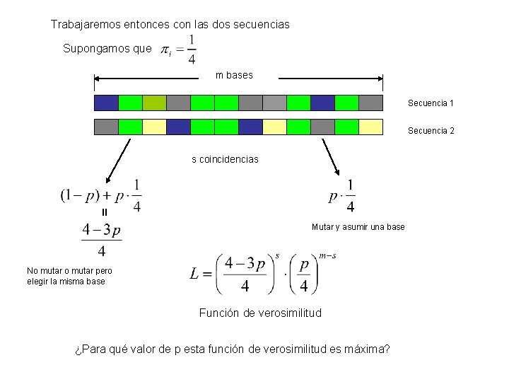 Trabajaremos entonces con las dos secuencias Supongamos que m bases Secuencia 1 Secuencia 2