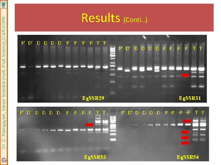 Dr. D. Ramajayam, Senior Scientist (Horti. -Fruit Science), ICAR-IIOPR Results (Conti. . ) P’