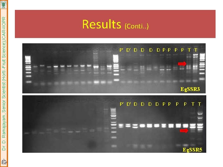 Dr. D. Ramajayam, Senior Scientist (Horti. -Fruit Science), ICAR-IIOPR Results (Conti. . ) P’