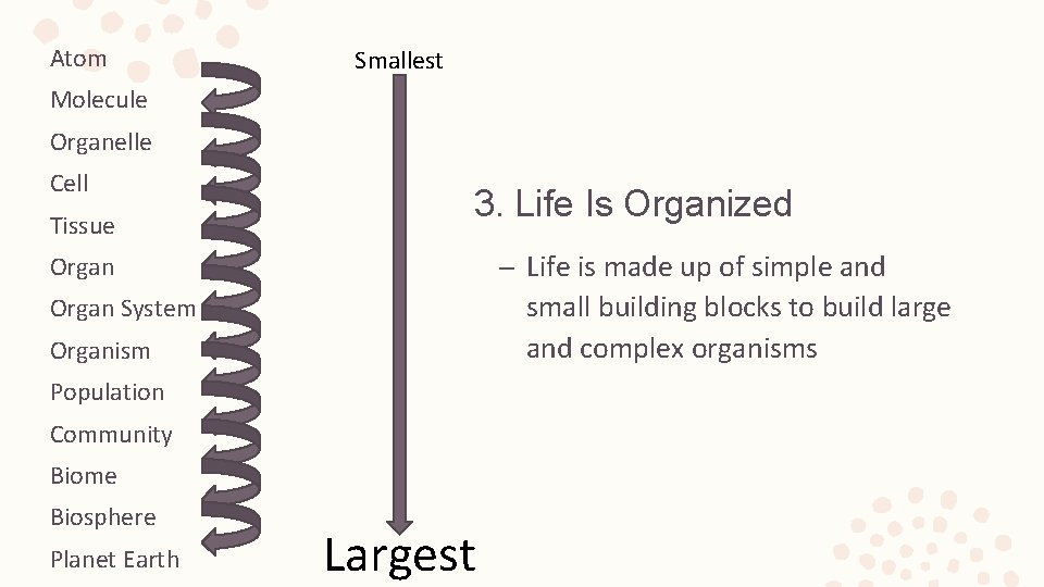 Atom Smallest Molecule Organelle Cell Tissue 3. Life Is Organized – Life is made