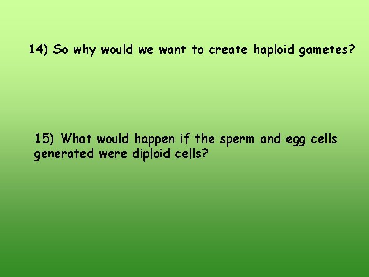 14) So why would we want to create haploid gametes? 15) What would happen 14) So why would we want to create haploid gametes? 15) What would happen