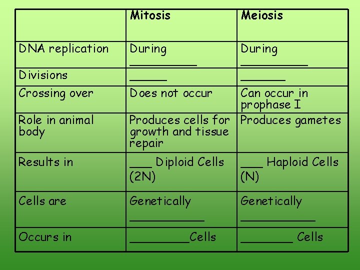 Mitosis Meiosis Divisions During _________ Crossing over Does not occur DNA replication Role in Mitosis Meiosis Divisions During _________ Crossing over Does not occur DNA replication Role in