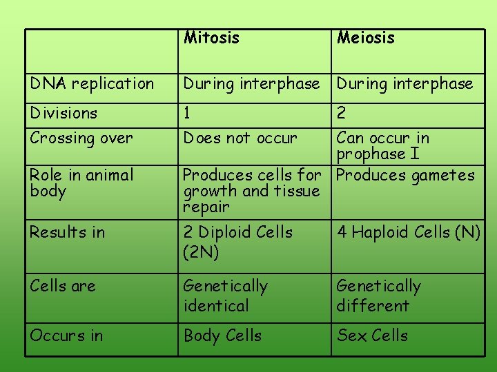 Mitosis Meiosis DNA replication During interphase Divisions 1 Crossing over Does not occur Role Mitosis Meiosis DNA replication During interphase Divisions 1 Crossing over Does not occur Role