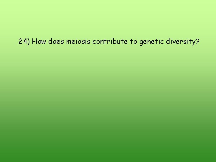24) How does meiosis contribute to genetic diversity? 24) How does meiosis contribute to genetic diversity?