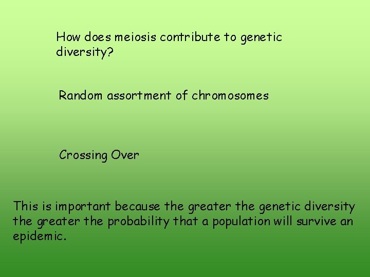 How does meiosis contribute to genetic diversity? Random assortment of chromosomes Crossing Over This How does meiosis contribute to genetic diversity? Random assortment of chromosomes Crossing Over This