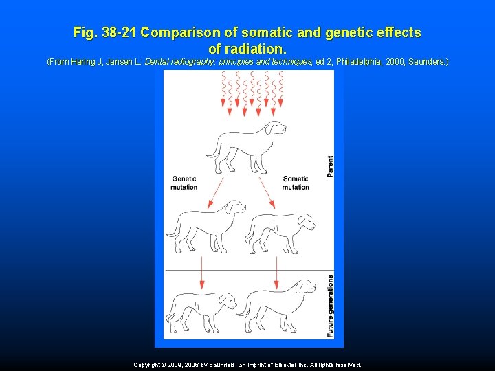 Fig. 38 -21 Comparison of somatic and genetic effects of radiation. (From Haring J,