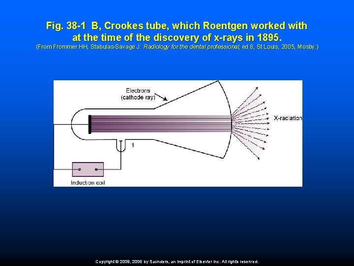 Fig. 38 -1 B, Crookes tube, which Roentgen worked with at the time of