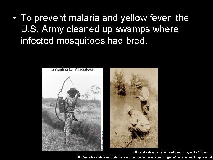  • To prevent malaria and yellow fever, the U. S. Army cleaned up