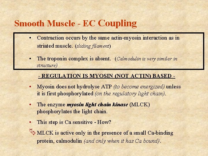 Smooth Muscle - EC Coupling • Contraction occurs by the same actin-myosin interaction as Smooth Muscle - EC Coupling • Contraction occurs by the same actin-myosin interaction as