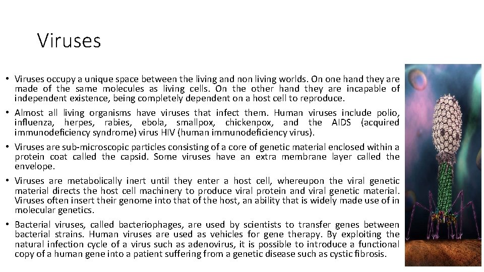 Viruses • Viruses occupy a unique space between the living and non living worlds. Viruses • Viruses occupy a unique space between the living and non living worlds.