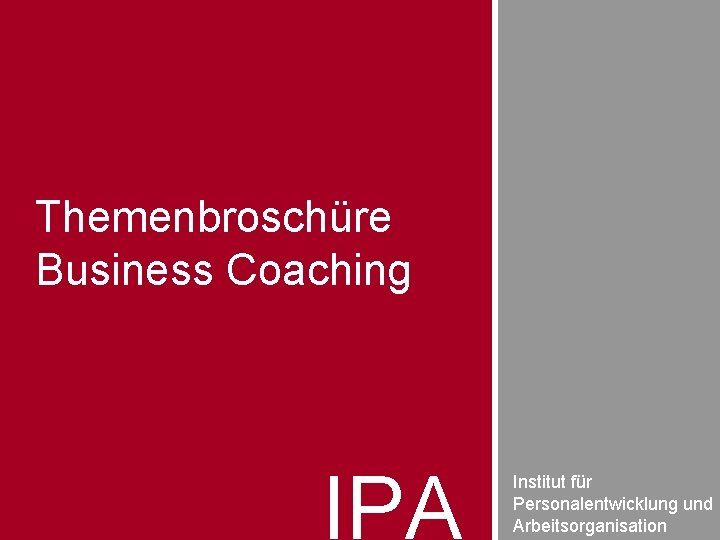 Themenbroschüre Business Coaching IPA Institut für Personalentwicklung und Arbeitsorganisation 