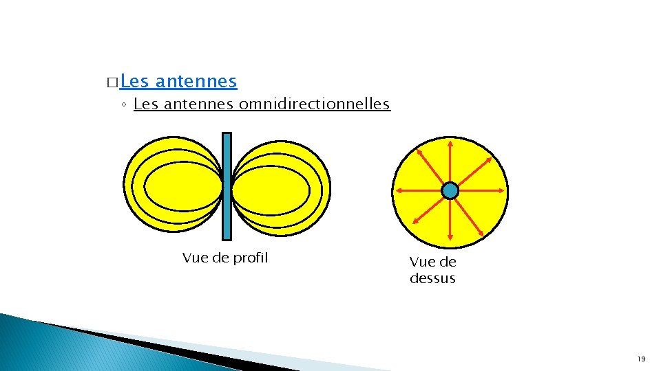 � Les antennes ◦ Les antennes omnidirectionnelles Vue de profil Vue de dessus 19