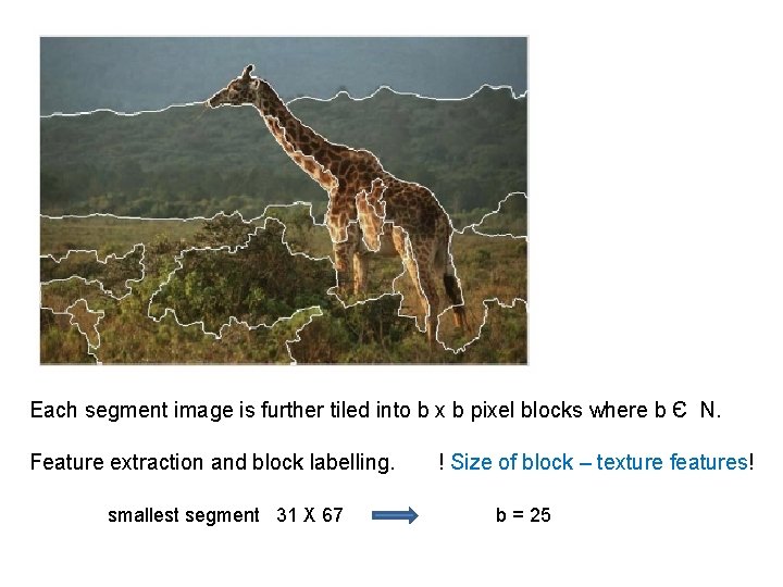 Each segment image is further tiled into b x b pixel blocks where b