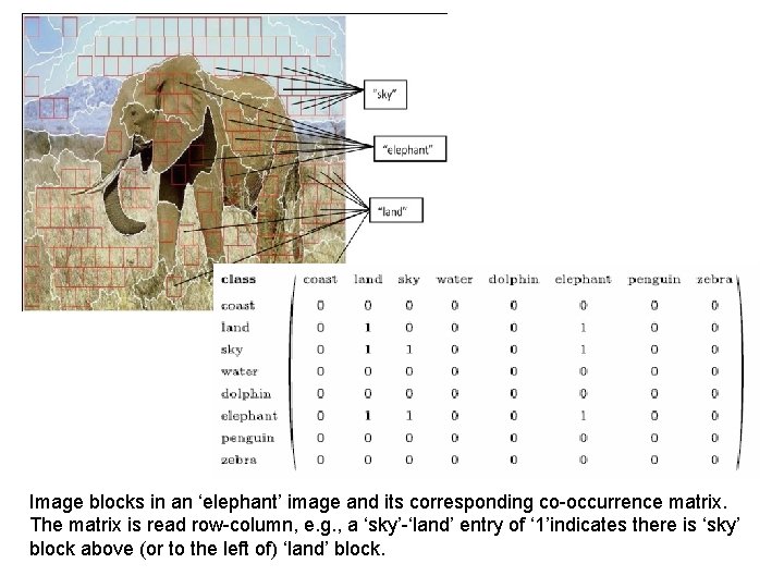 Image blocks in an ‘elephant’ image and its corresponding co-occurrence matrix. The matrix is