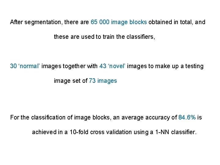 After segmentation, there are 65 000 image blocks obtained in total, and these are
