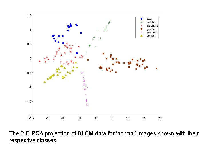 The 2 -D PCA projection of BLCM data for ‘normal’ images shown with their