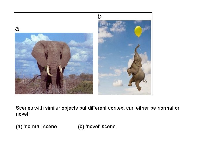 Scenes with similar objects but different context can either be normal or novel: (a)