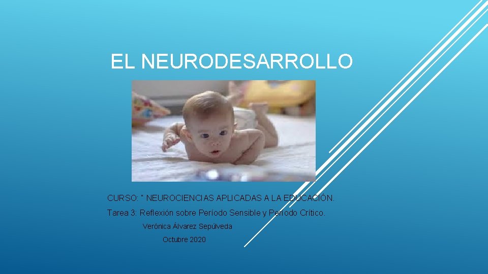 EL NEURODESARROLLO CURSO: “ NEUROCIENCIAS APLICADAS A LA EDUCACIÓN. Tarea 3: Reflexión sobre Período