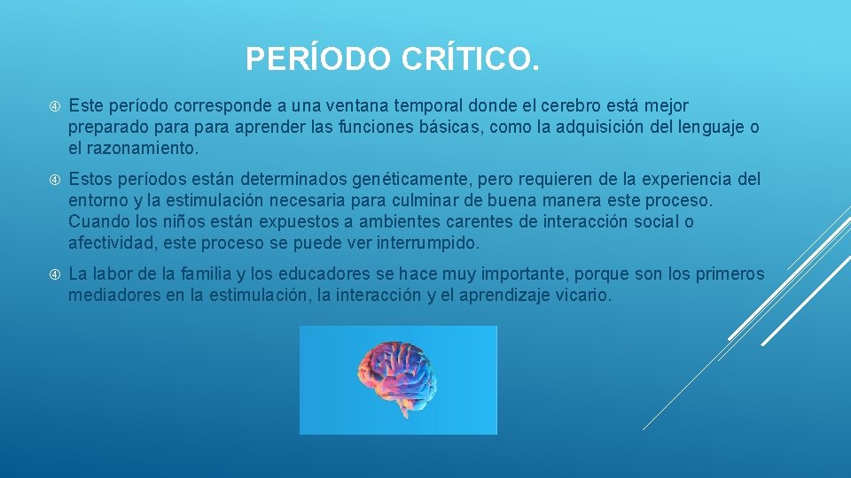PERÍODO CRÍTICO. Este período corresponde a una ventana temporal donde el cerebro está mejor