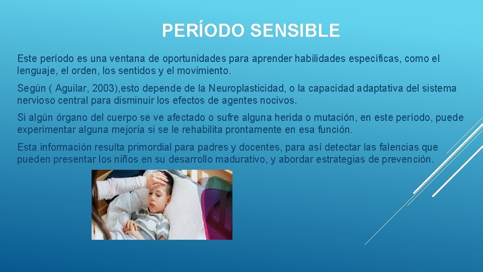 PERÍODO SENSIBLE Este período es una ventana de oportunidades para aprender habilidades específicas, como