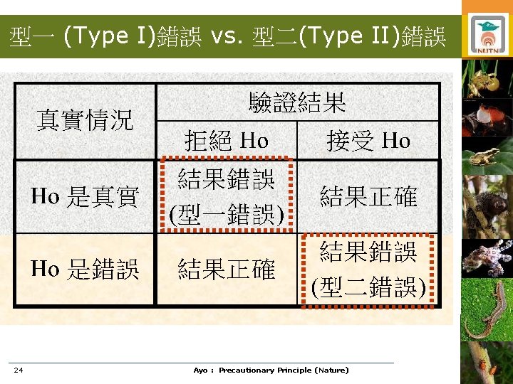 型一 (Type I)錯誤 vs. 型二(Type II)錯誤 24 Ayo : Precautionary Principle (Nature) 