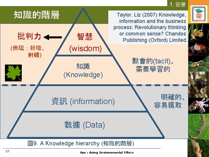 1. 背景 知識的階層 批判力 (倫理：好壞、 對錯) 智慧 (wisdom) Taylor. Liz (2007) Knowledge, information and