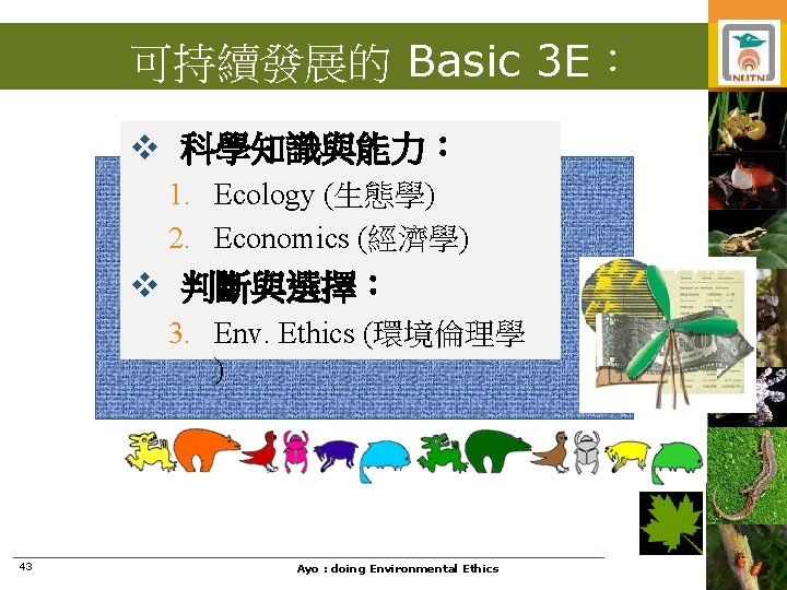 可持續發展的 Basic 3 E： v 科學知識與能力： 1. Ecology (生態學) 2. Economics (經濟學) v 判斷與選擇：