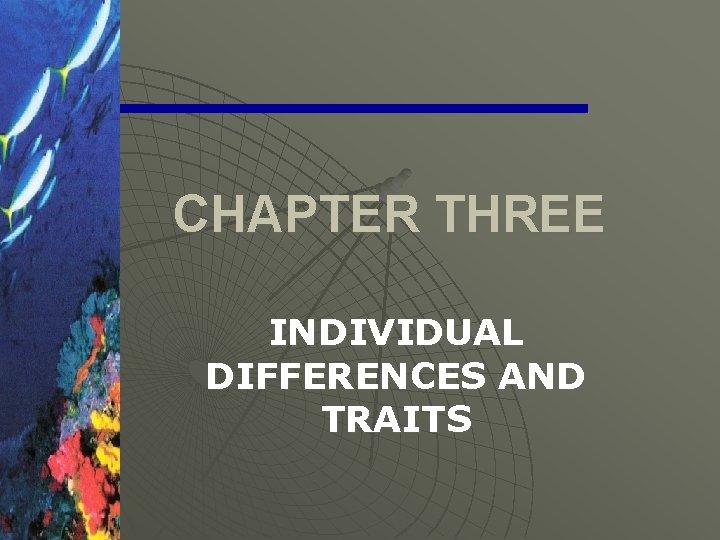 CHAPTER THREE INDIVIDUAL DIFFERENCES AND TRAITS 