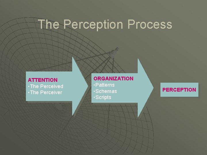The Perception Process ATTENTION • The Perceived • The Perceiver ORGANIZATION • Patterns •
