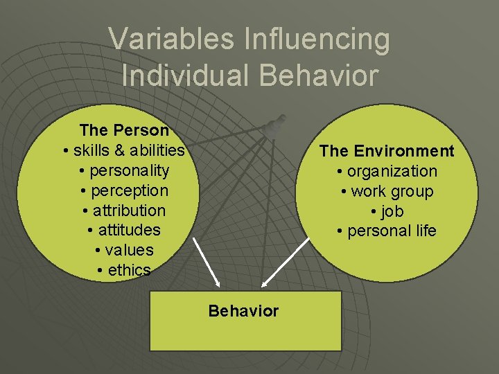 Variables Influencing Individual Behavior The Person • skills & abilities • personality • perception