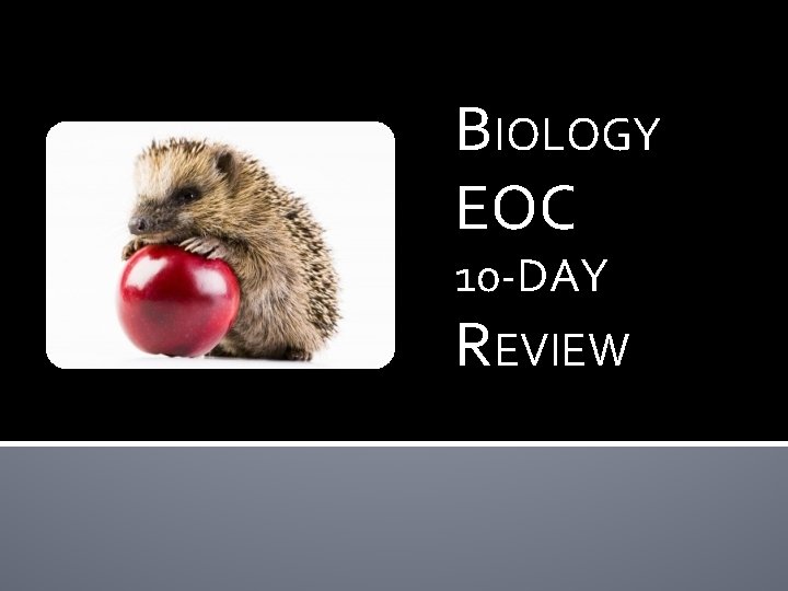 BIOLOGY EOC 10 -DAY REVIEW 