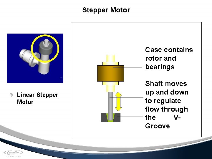 Stepper Motor Case contains rotor and bearings Linear Stepper Motor Shaft moves up and
