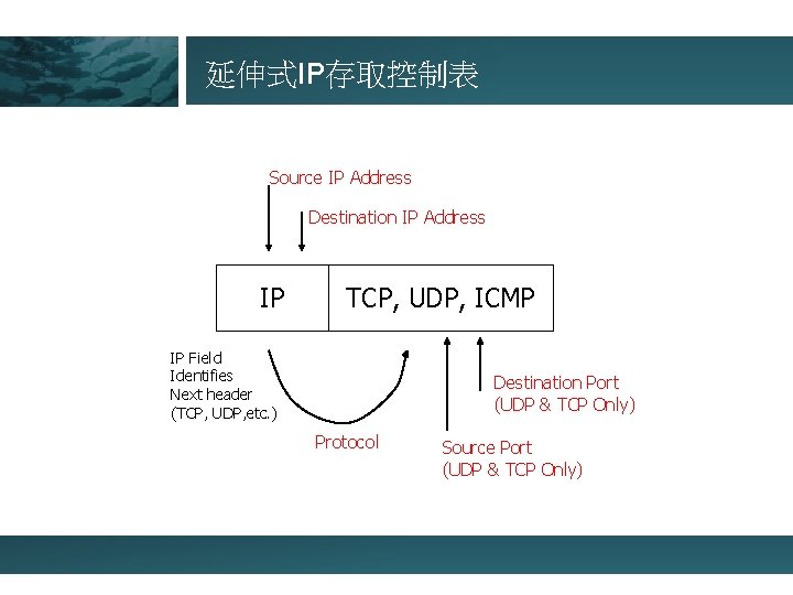 延伸式IP存取控制表 Source IP Address Destination IP Address IP TCP, UDP, ICMP IP Field Identifies