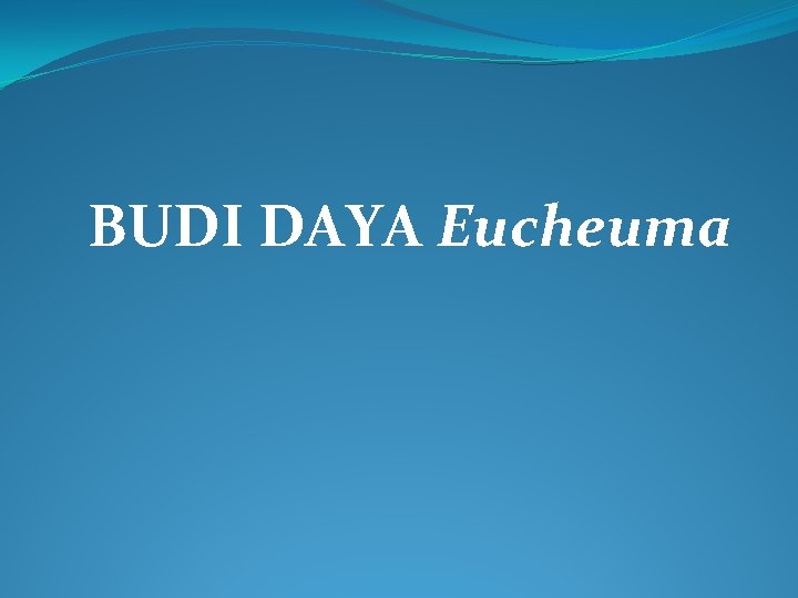 BUDI DAYA Eucheuma 