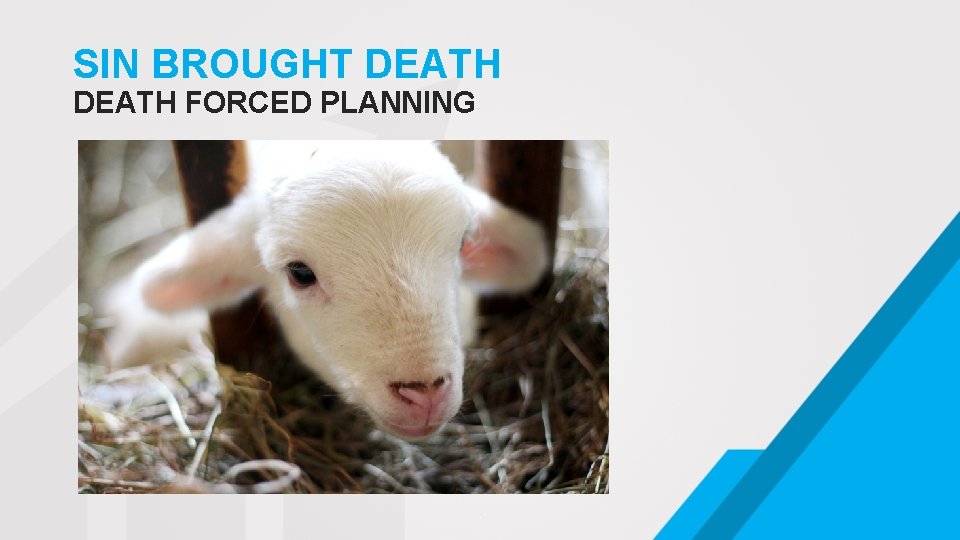 SIN BROUGHT DEATH FORCED PLANNING . 