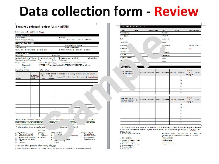 Data collection form - Review p e l S m a 