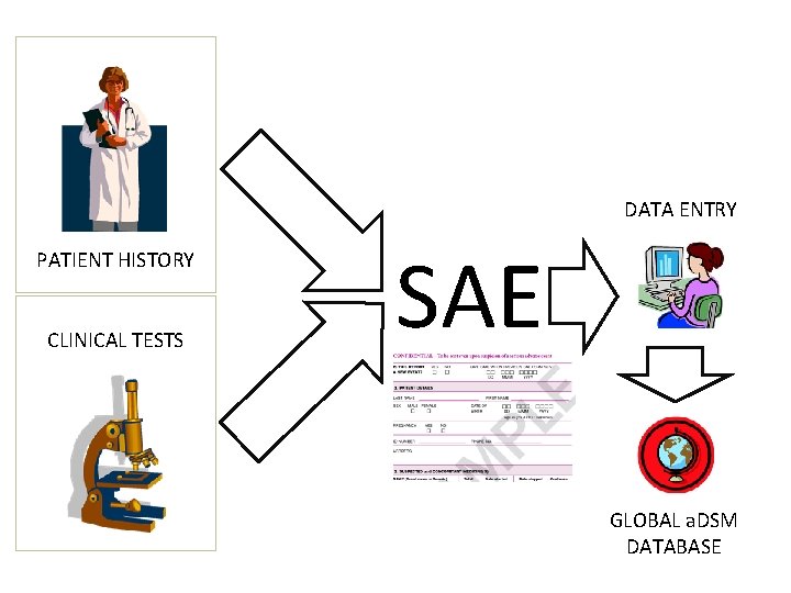 DATA ENTRY PATIENT HISTORY CLINICAL TESTS SAE GLOBAL a. DSM DATABASE 