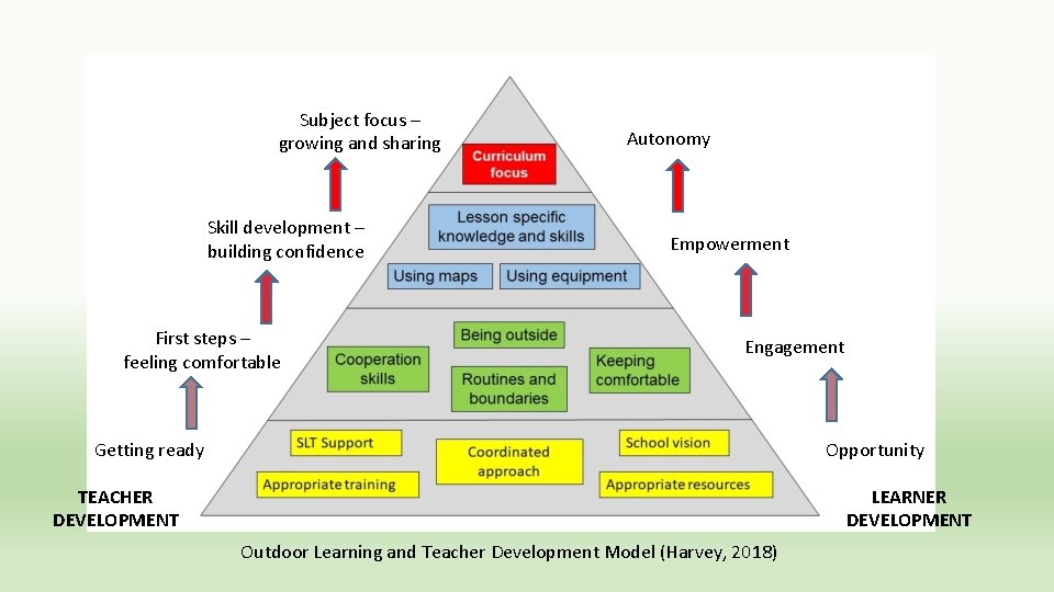 Subject focus – growing and sharing Skill development – building confidence First steps –