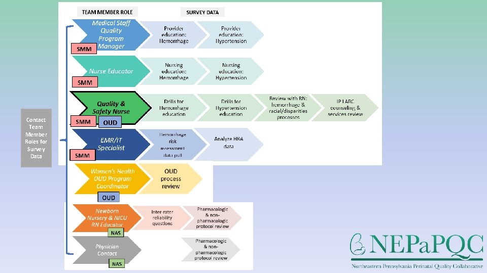 Contact Team Member Roles for Survey Data 