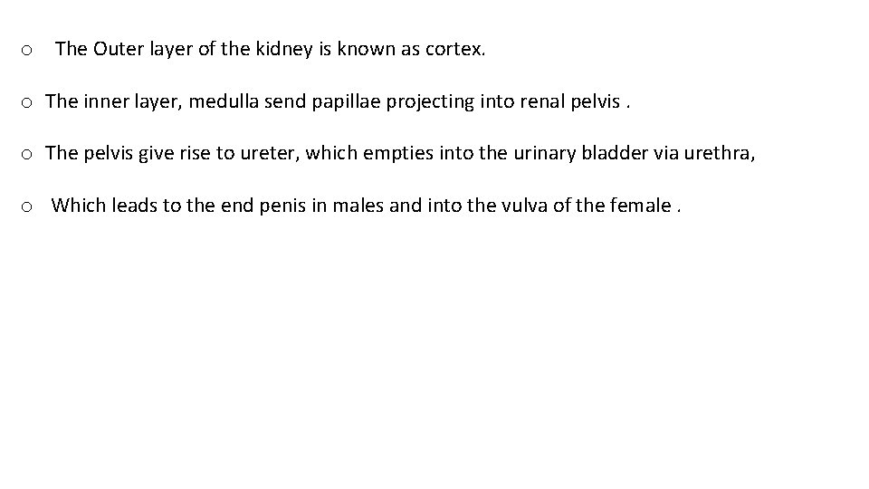 o The Outer layer of the kidney is known as cortex. o The inner